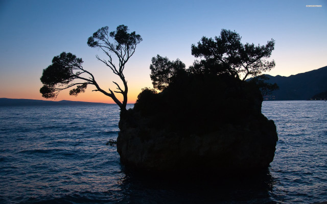 Tree rock water sunset mountain free wallpaper - medium preview image