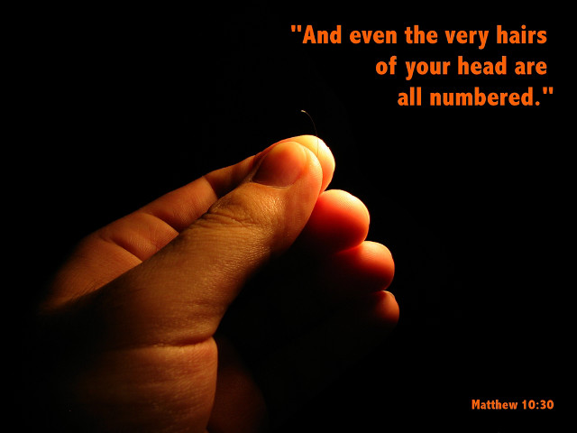 Person holding cigarette quote on free wallpaper - medium preview image
