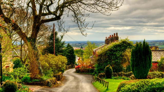 Road tree house cloudy sky free wallpaper - medium preview image