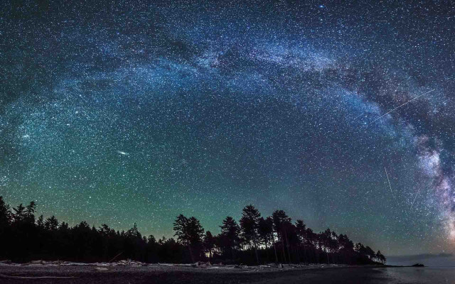 Night sky stars trees lake #3 free wallpaper - medium preview image
