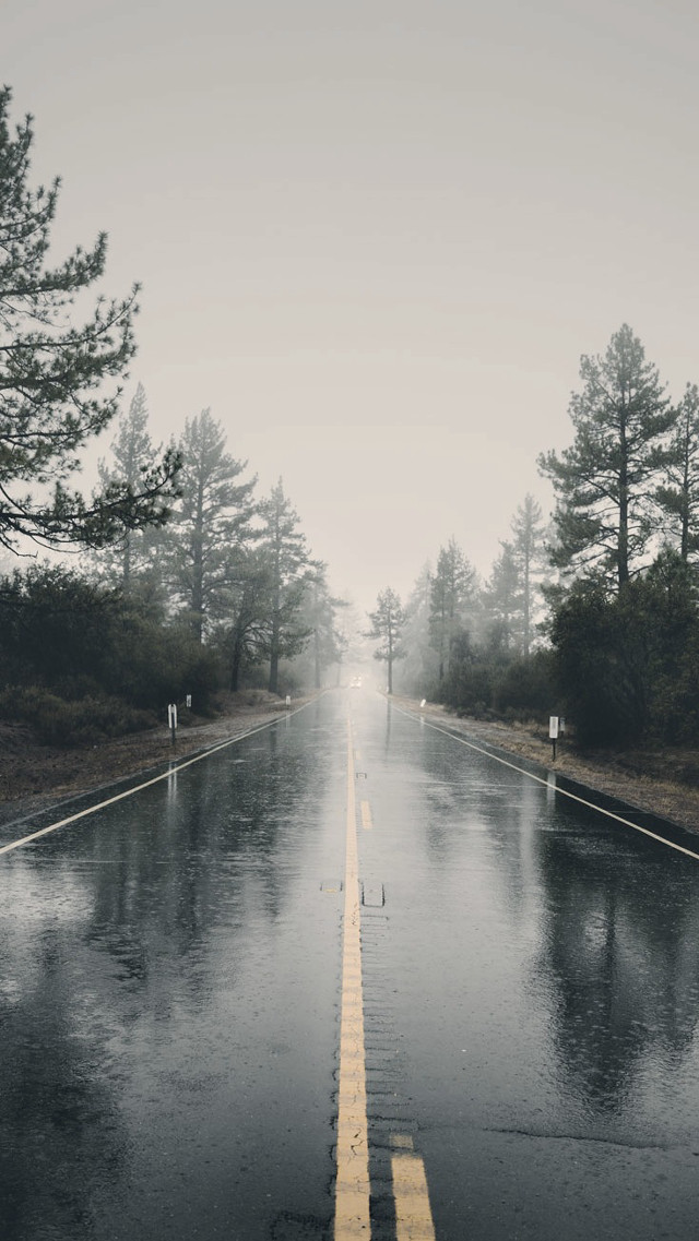 Wet road yellow line trees free wallpaper - medium preview image