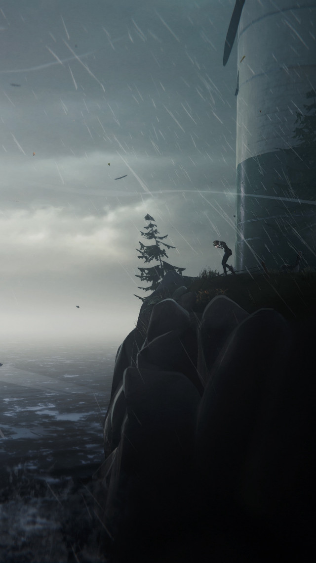 Person cliff wind vane water free wallpaper - medium preview image