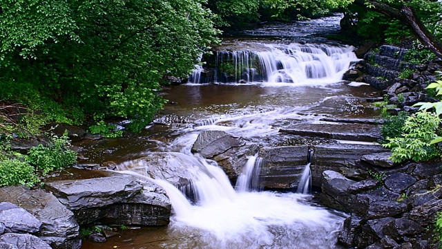 Small waterfall forest bench stream free wallpaper - medium preview image
