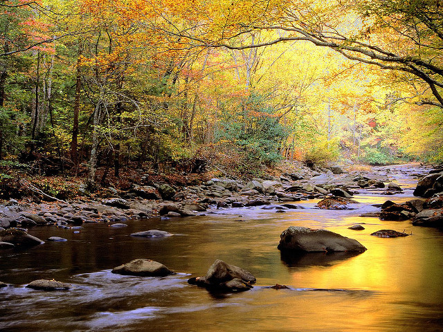 Hudson river school autumn leaves free wallpaper - medium preview image