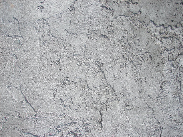 Cement wall paint bird close free wallpaper - medium preview image
