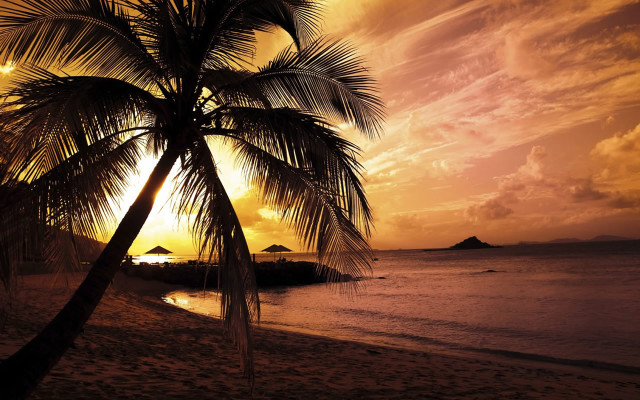 Palm tree beach sunset island #3 free wallpaper - medium preview image