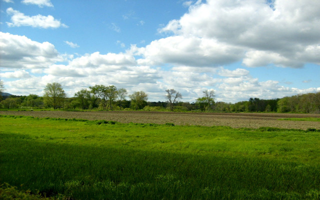 Field trees sky clouds nature free wallpaper - medium preview image