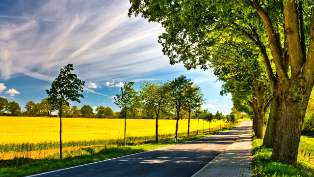 Road fence trees field blue free wallpaper - medium preview image