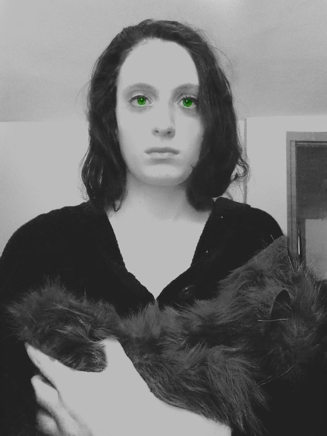Woman green eyes holding cat free wallpaper - medium preview image
