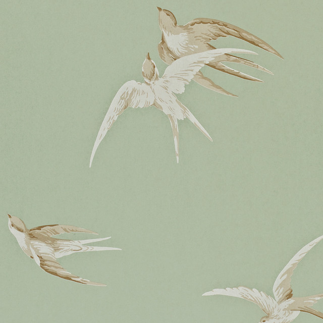Birds flying sky green background free wallpaper - medium preview image