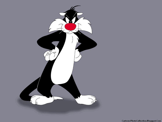 Cartoon cat red nose black free wallpaper - medium preview image