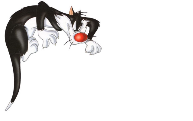 Black white cat red nose free wallpaper - medium preview image