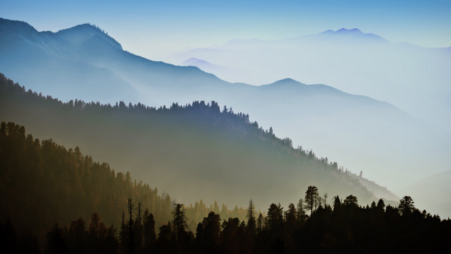 Mountain range trees fog blue free wallpaper - medium preview image