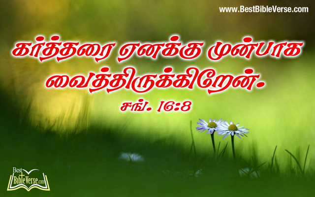 Flower bible verse foreground bamboo free wallpaper - medium preview image