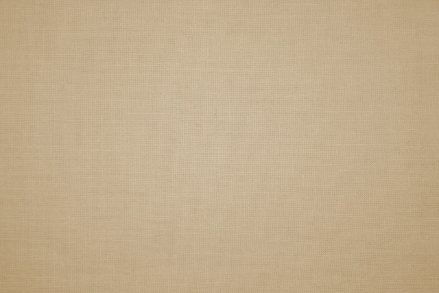 Brown background cat sitting cat free wallpaper - medium preview image
