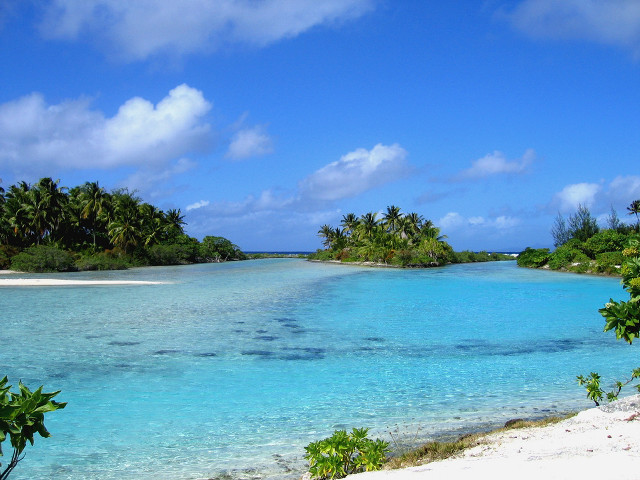 Tropical island palm trees blue #3 free wallpaper - medium preview image