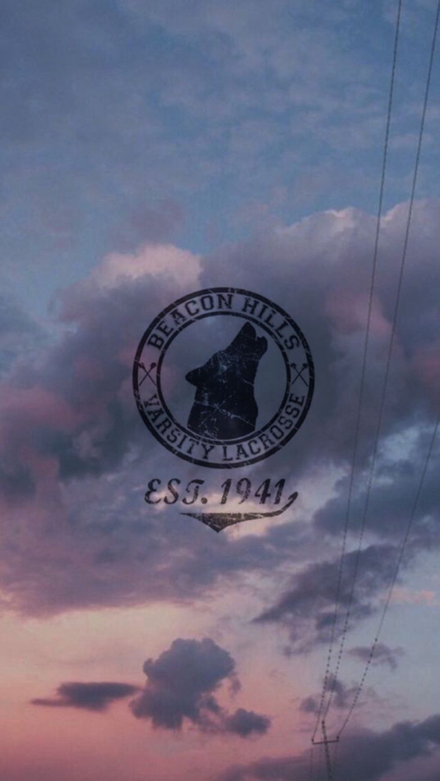 Hanging sign bear clouds sky free wallpaper - medium preview image