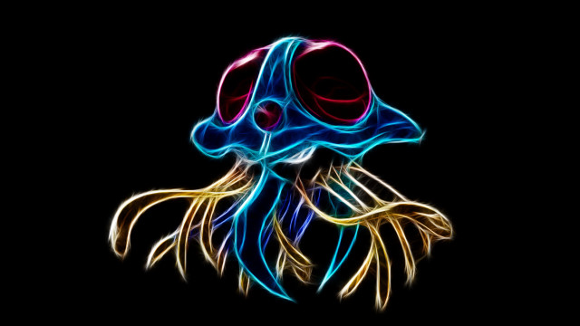 Colorful jellyfish black background red free wallpaper - medium preview image