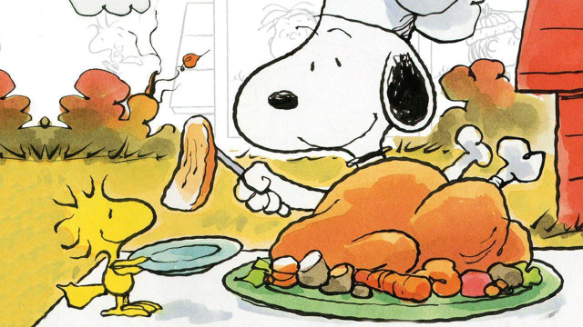 Dog turkey plate chick table free wallpaper - medium preview image