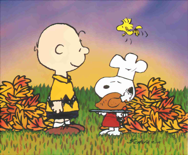 Charlie brown thanksgiving cartoon turkey free wallpaper - medium preview image