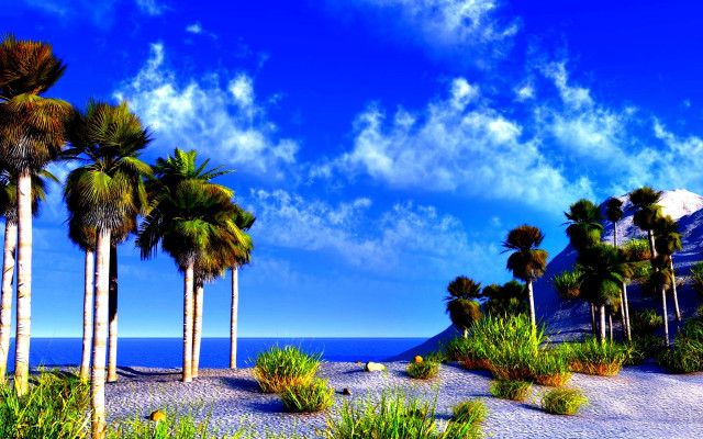 Palm trees beach mountain blue free wallpaper - medium preview image
