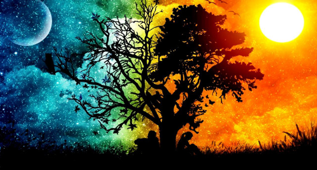 Tree rainbow sky stars full free wallpaper - medium preview image