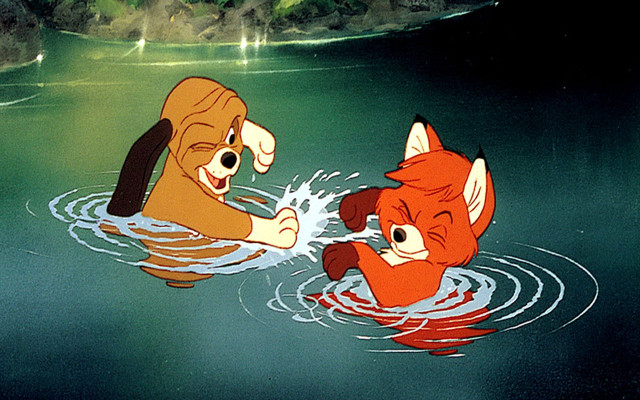 Fox dog swimming lake forest free wallpaper - medium preview image