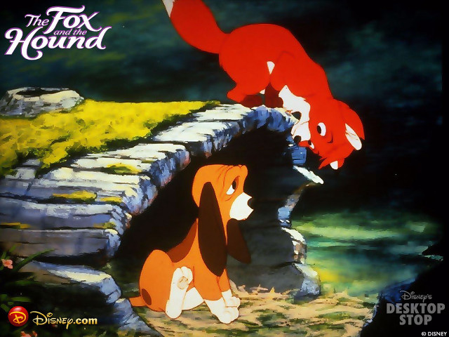 Dog cat bridge grass rocks free wallpaper - medium preview image