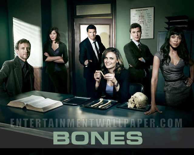 Group people table book skull free wallpaper - medium preview image