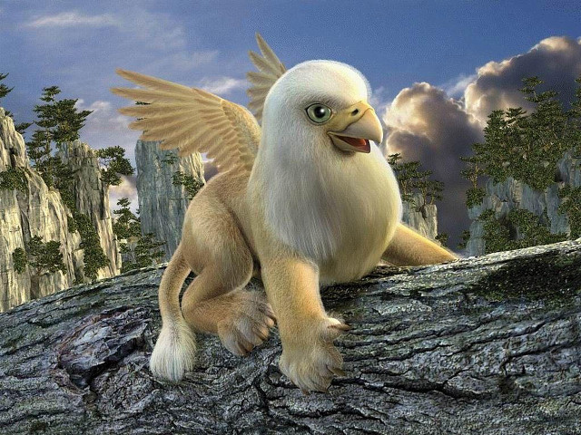 Bird on branch mountain clouds free wallpaper - medium preview image