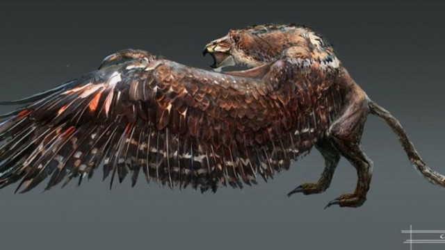 Long beak bird wings spread free wallpaper - medium preview image