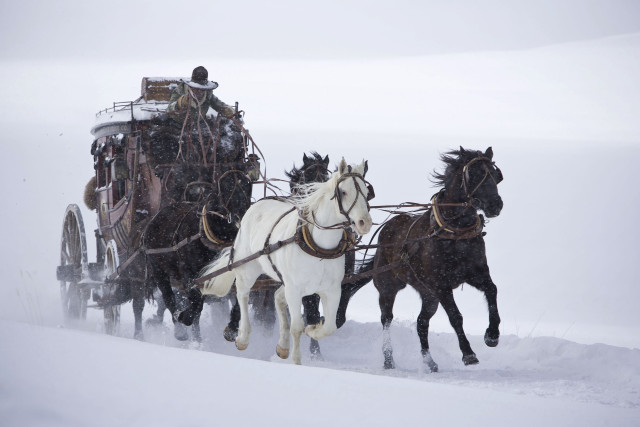 Horse carriage snow field matte free wallpaper - medium preview image