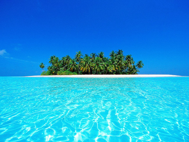 Island palm trees ocean beach free wallpaper - medium preview image