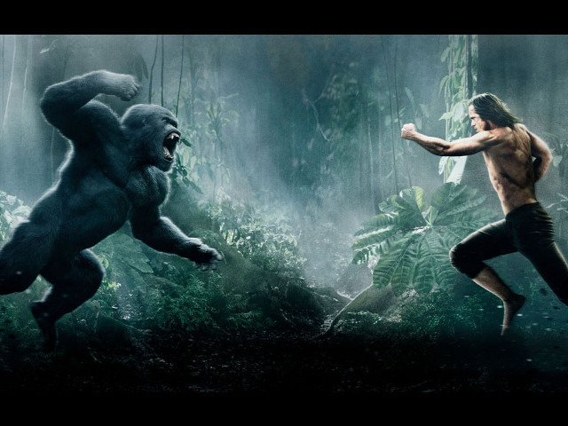 Man jungle gorilla background night free wallpaper - medium preview image