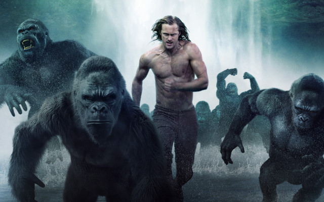 Man wet suit gorillas waterfall free wallpaper - medium preview image