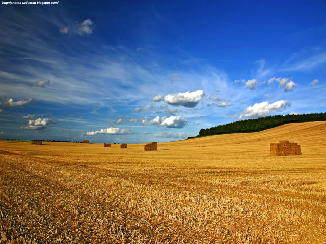 Hay field bales blue sky free wallpaper - medium preview image