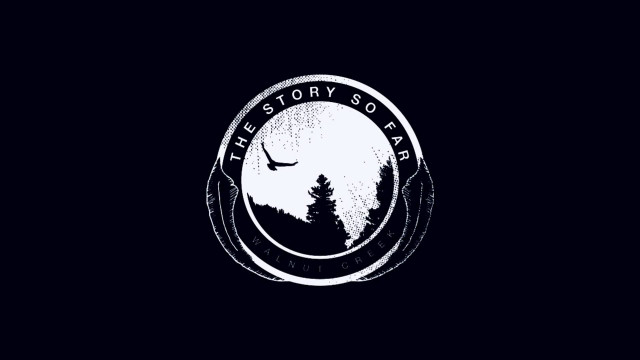 Black white bird flying forest free wallpaper - medium preview image