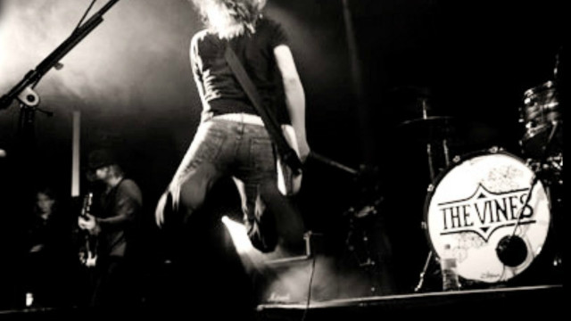 Man standing stage guitar microphone free wallpaper - medium preview image