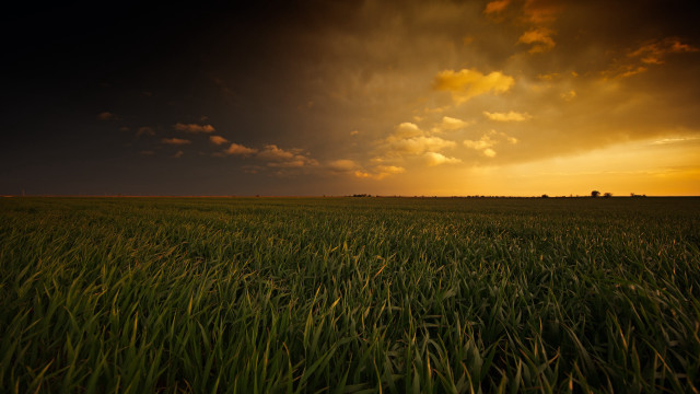 Field grass sky clouds sunbeam free wallpaper - medium preview image