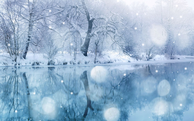 Snowy scene lake trees snow free wallpaper - medium preview image