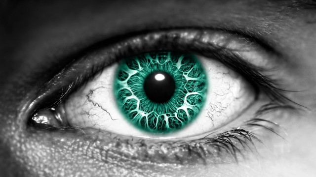 Close up eye green iris free wallpaper - medium preview image