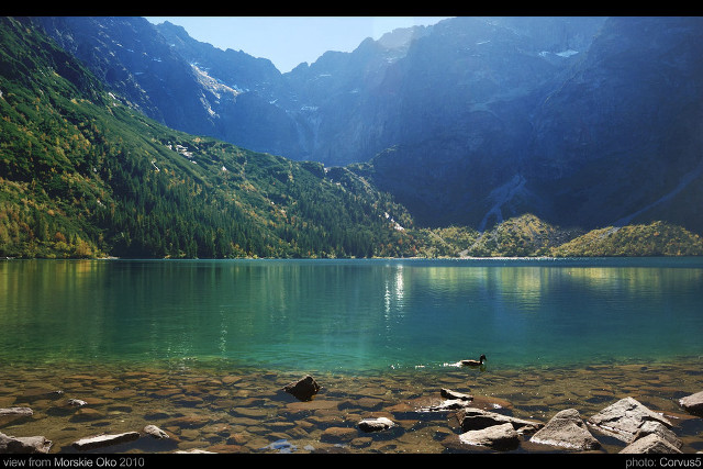 Lake mountains rocks bird shore free wallpaper - medium preview image