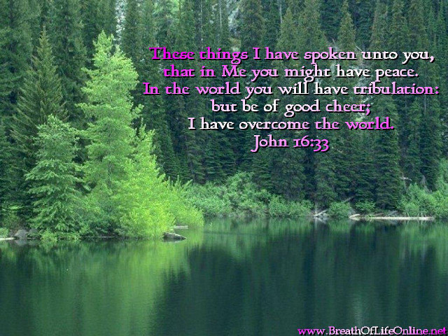 Lake trees quote john #6 free wallpaper - medium preview image