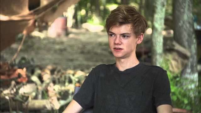 Young man forest chair bokeh free wallpaper - medium preview image