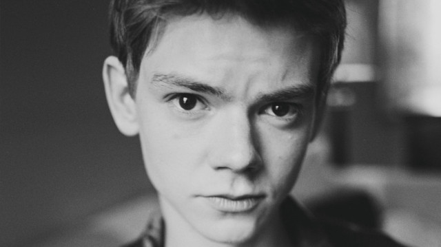 Serious man looking camera serious #2 free wallpaper - medium preview image