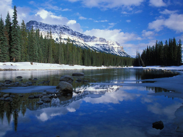 Mountain reflection lake snow evergreen free wallpaper - medium preview image