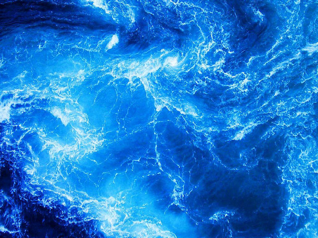 Blue ocean waves bird flying free wallpaper - medium preview image