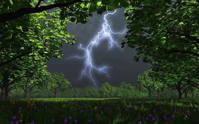 Lightning bolt trees field flowers free wallpaper - medium preview image