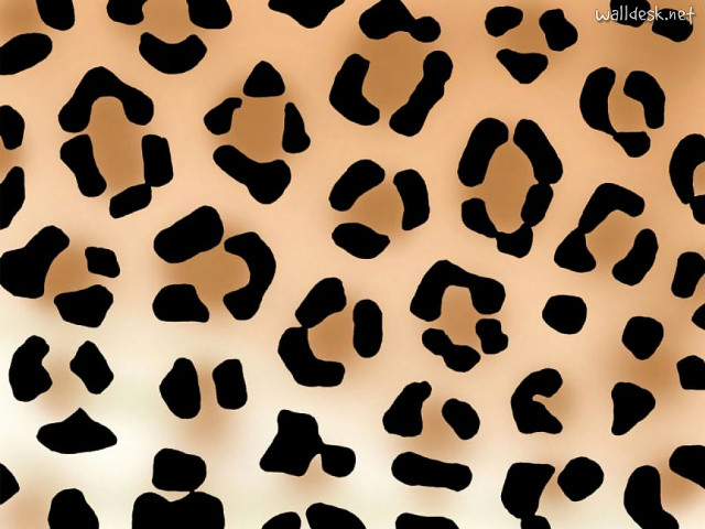 Leopard print pattern brown background free wallpaper - medium preview image