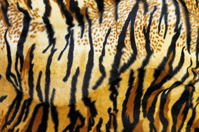 Tiger fur closeup pattern black free wallpaper - medium preview image